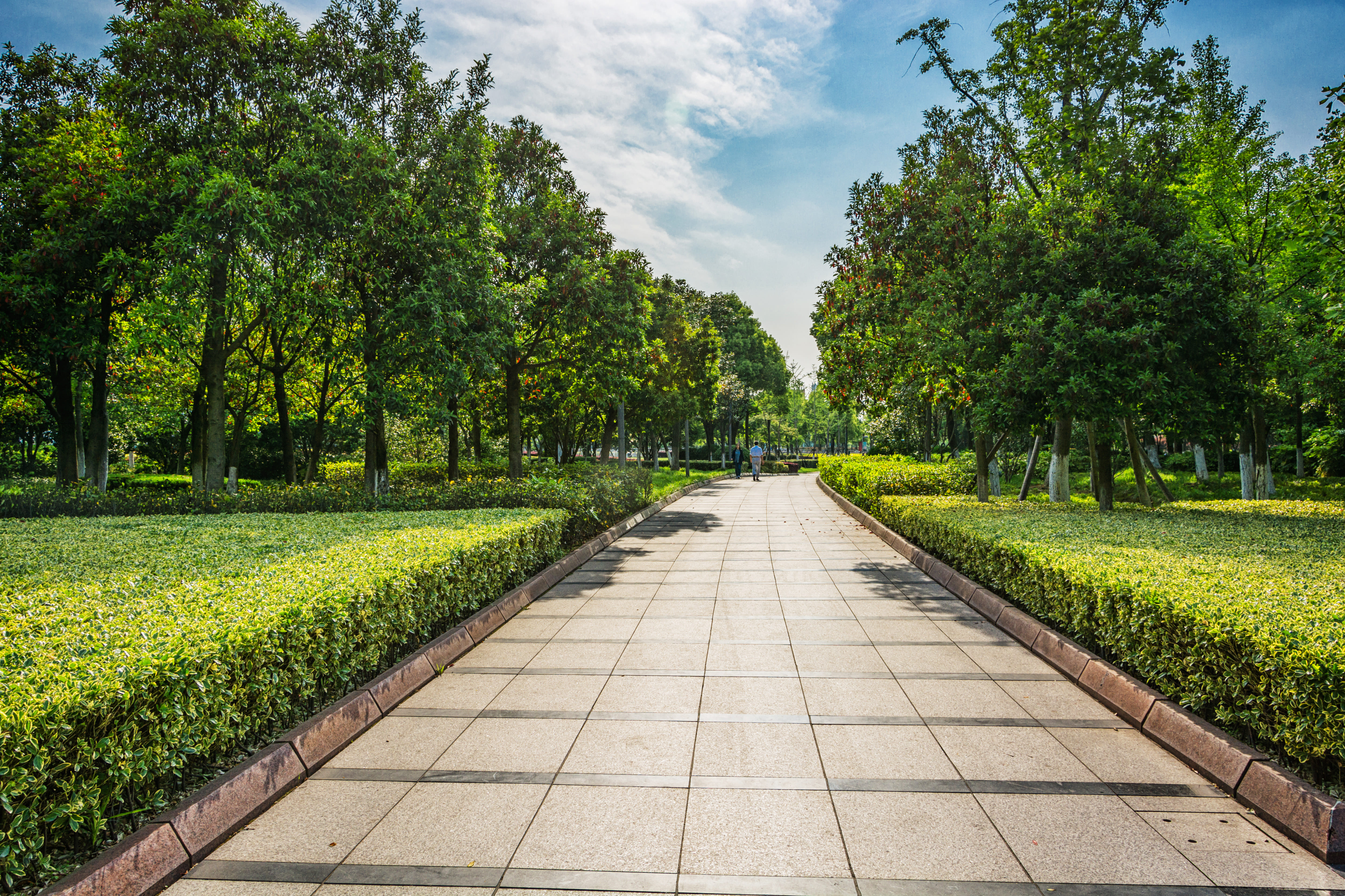 Diseño y Parquización